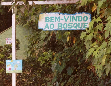 Bosque